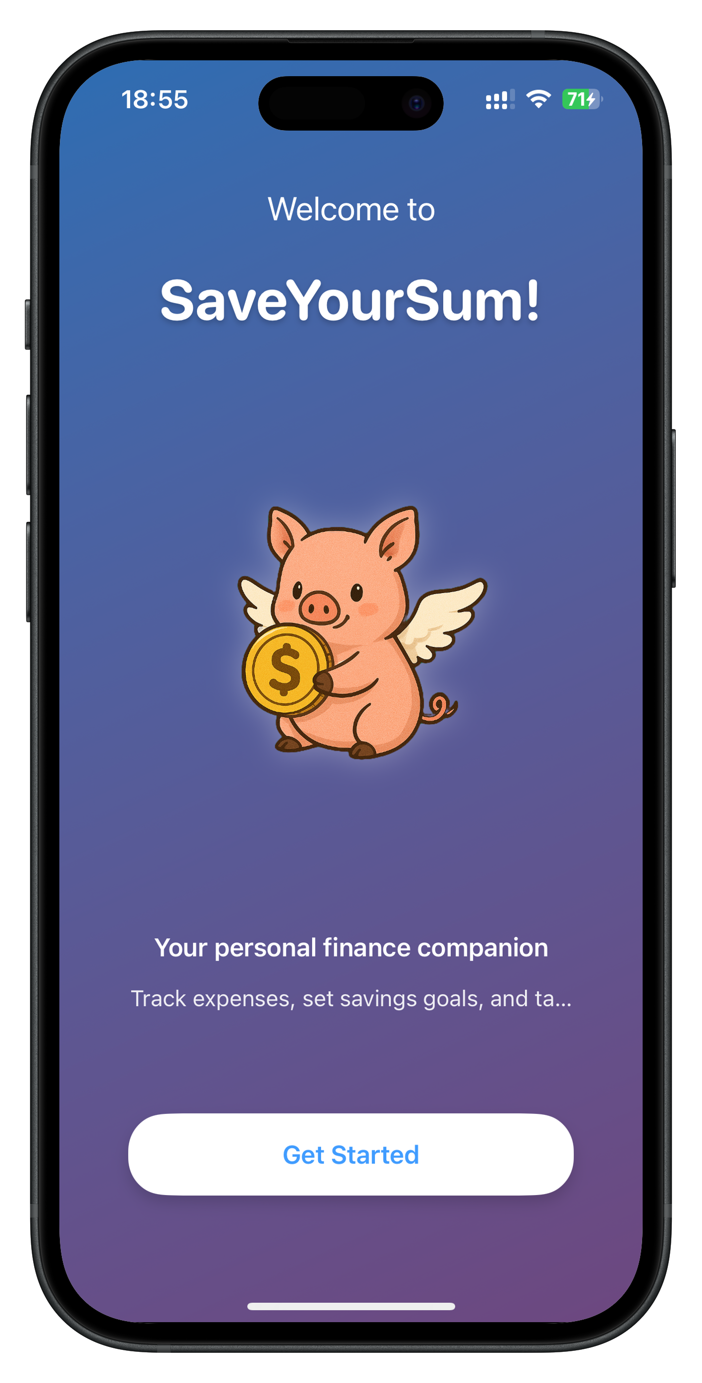 SaveYourSum Screenshot 2